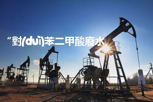 “對(duì)苯二甲酸廢水處理，綠色創(chuàng)新引領(lǐng)環(huán)保新篇章”